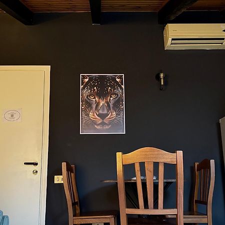 Appartement Hosting Dreams Attics - Duomo à Milan Extérieur photo